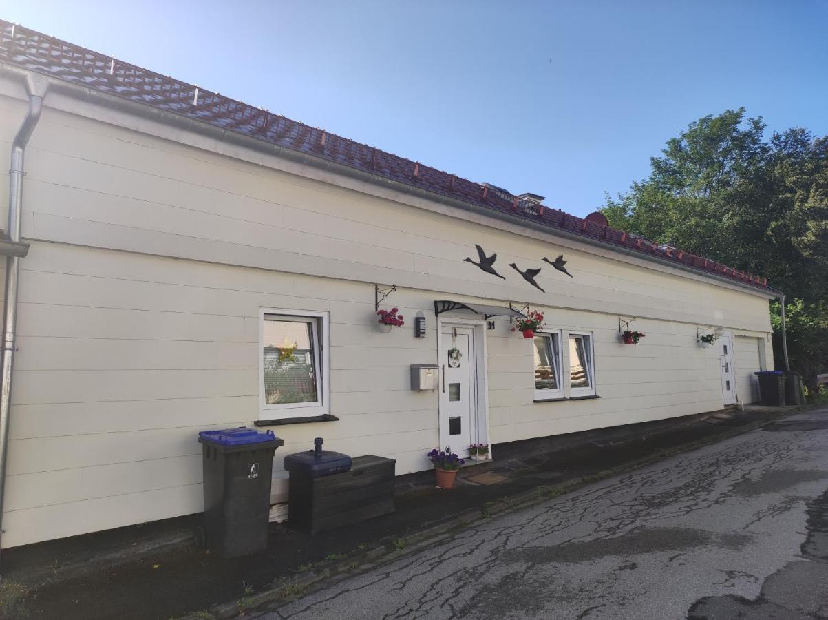 Ferienwohnung Lange Brilon Exterior foto